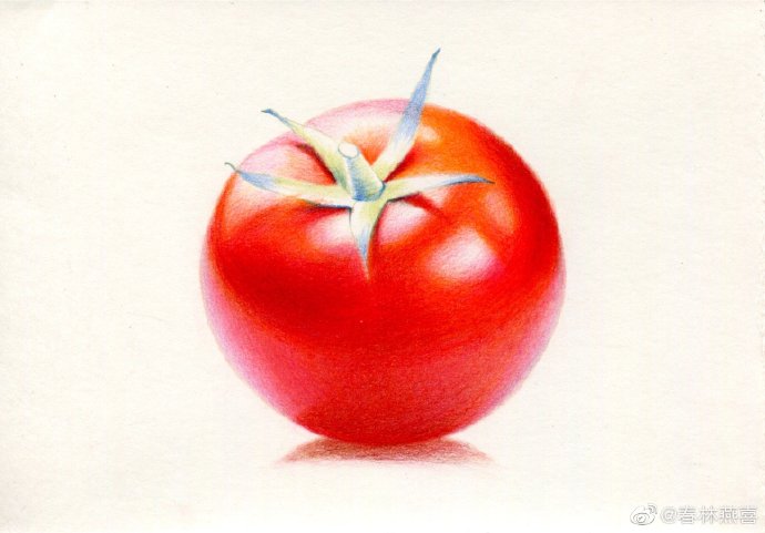 西红柿蒂的刻画
